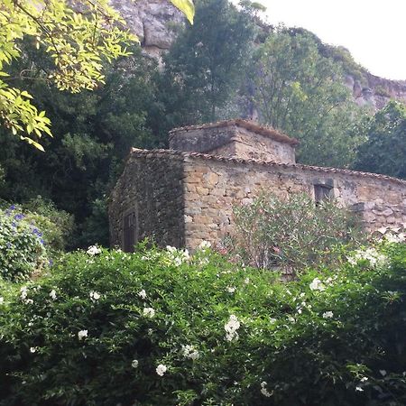 La Caunette Maison Ancienne Minervois מראה חיצוני תמונה
