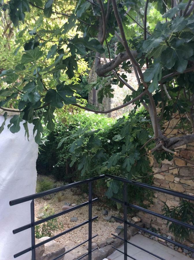 La Caunette Maison Ancienne Minervois מראה חיצוני תמונה