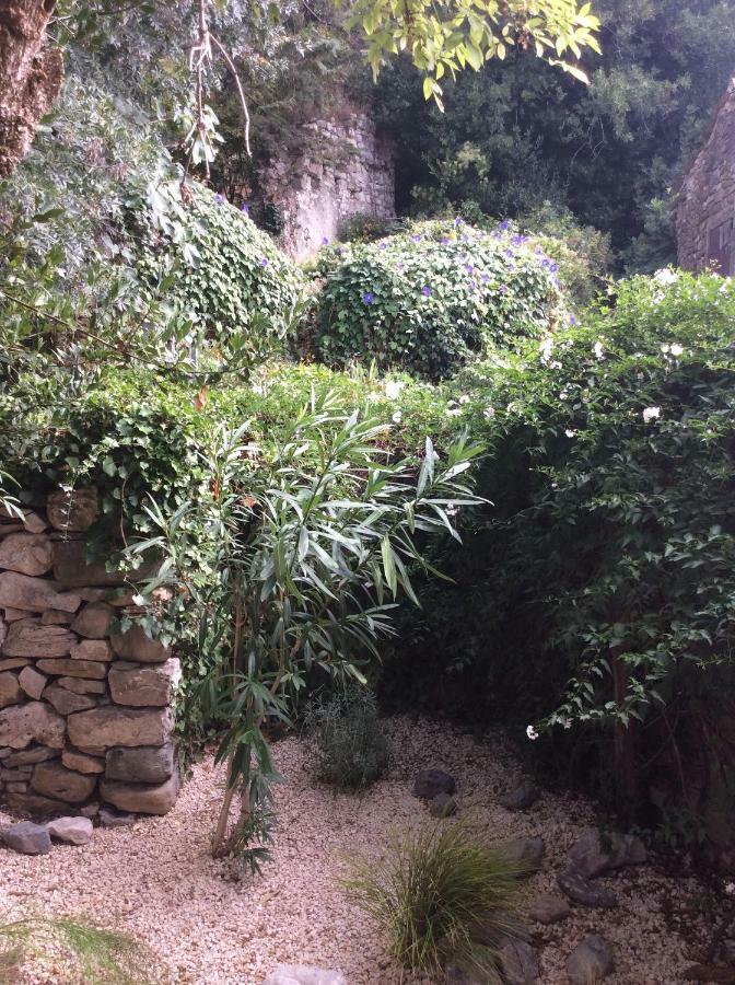 La Caunette Maison Ancienne Minervois מראה חיצוני תמונה