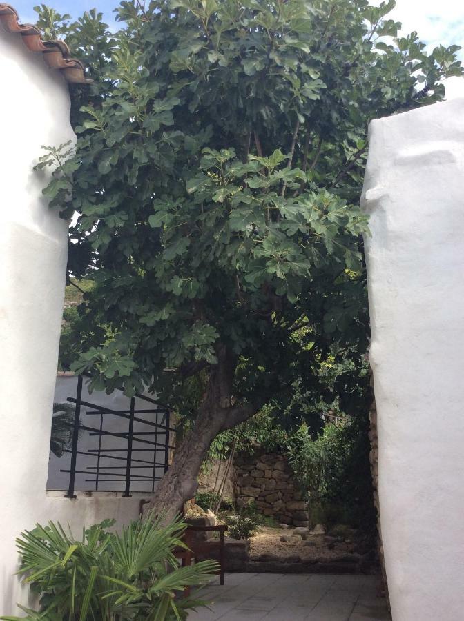 La Caunette Maison Ancienne Minervois מראה חיצוני תמונה